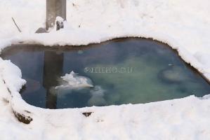 Купель  Элпис